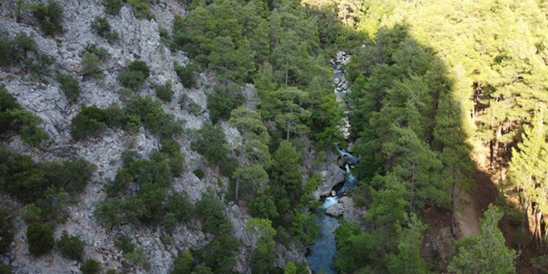 İsteyen pikniğini yapıyor isteyen yürüyüşünü! Doğal güzelliği büyülüyor: Giden gitmeyene öve öve bitiremiyor 3